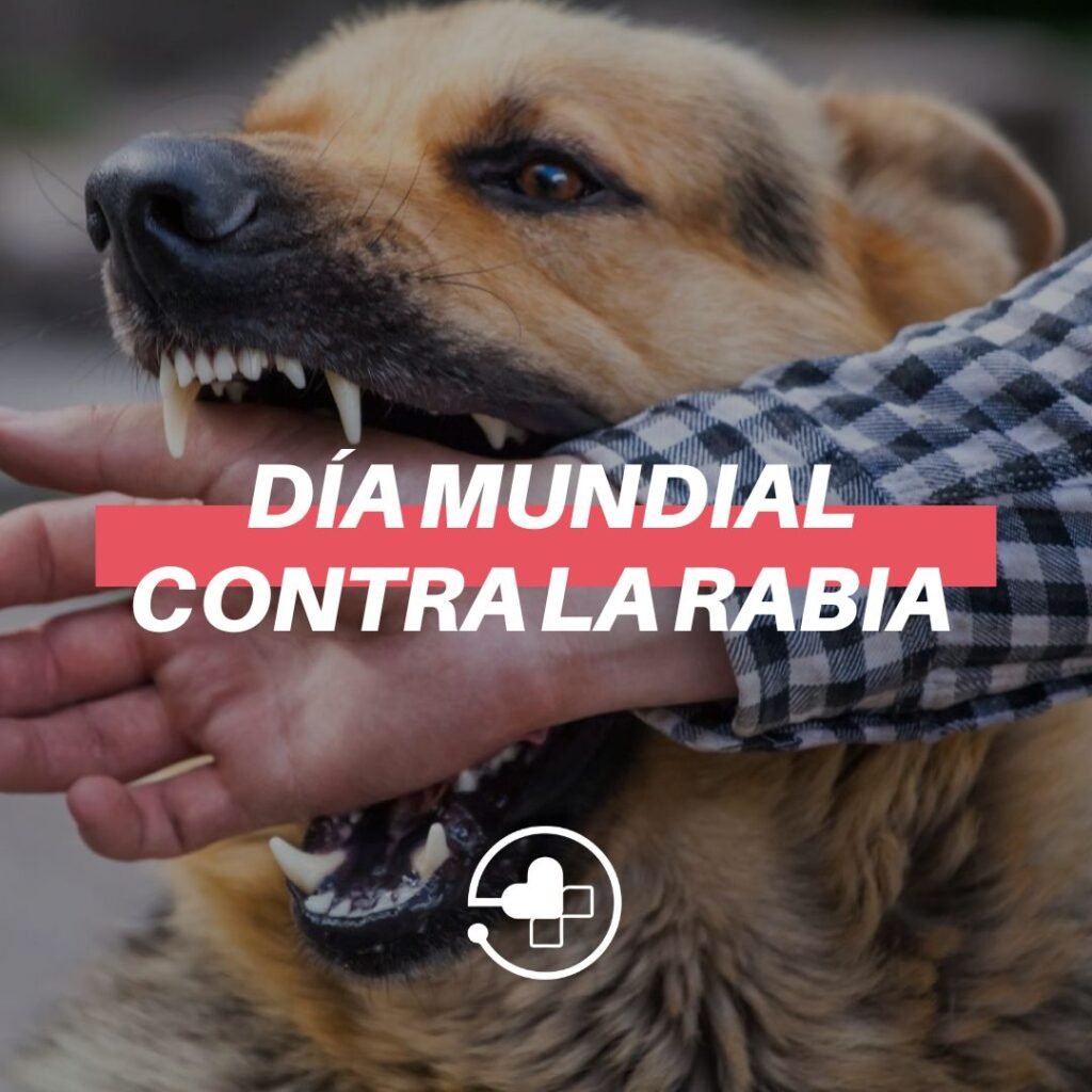 Día Mundial de la Rabia: un llamado a la prevención y la concientización 11 Dia mundial contra la rabia